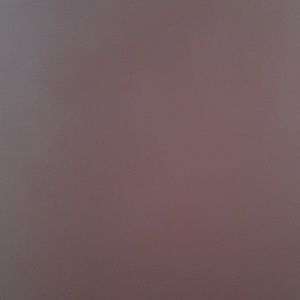 Meet your Posher, Bee